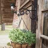 thumbnail of Hanging Basket 30cm Kokos Blumenampel mit Kette – wetterfest
