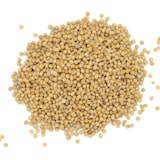 thumbnail of MesZépices - Moutarde jaune en graines - Sachet de 100 g