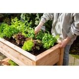 thumbnail of Westmann Verhoogde Plantenbak Emily 120x65x75 cm - Moestuinbak WM102420