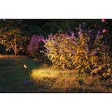 thumbnail of Paulmann Plug & Shine Projecteur de jardin LED Sting Spot individuel favorable aux insectes IP67 2200K 6,3W   Anthracite 94728