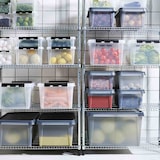 thumbnail of ORTHEX  SmartStore Dry Box wasserdicht 33 l grau
