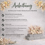thumbnail of Trocken Steckschaum Ziegel 23x11x7,5cm Kunstblumen Trockenblumen Blumen Steckmasse Steckschwamm Blumensteckschaum Steckziegel Floristikbedarf Uni Grau