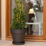 thumbnail of Plastiken TES - Plato Redondo Ø14 cm para Macetas de 18 cm. Taupé