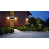 thumbnail of STEINEL projecteur LED extérieur LS 150 - Avec détecteur de mouvement