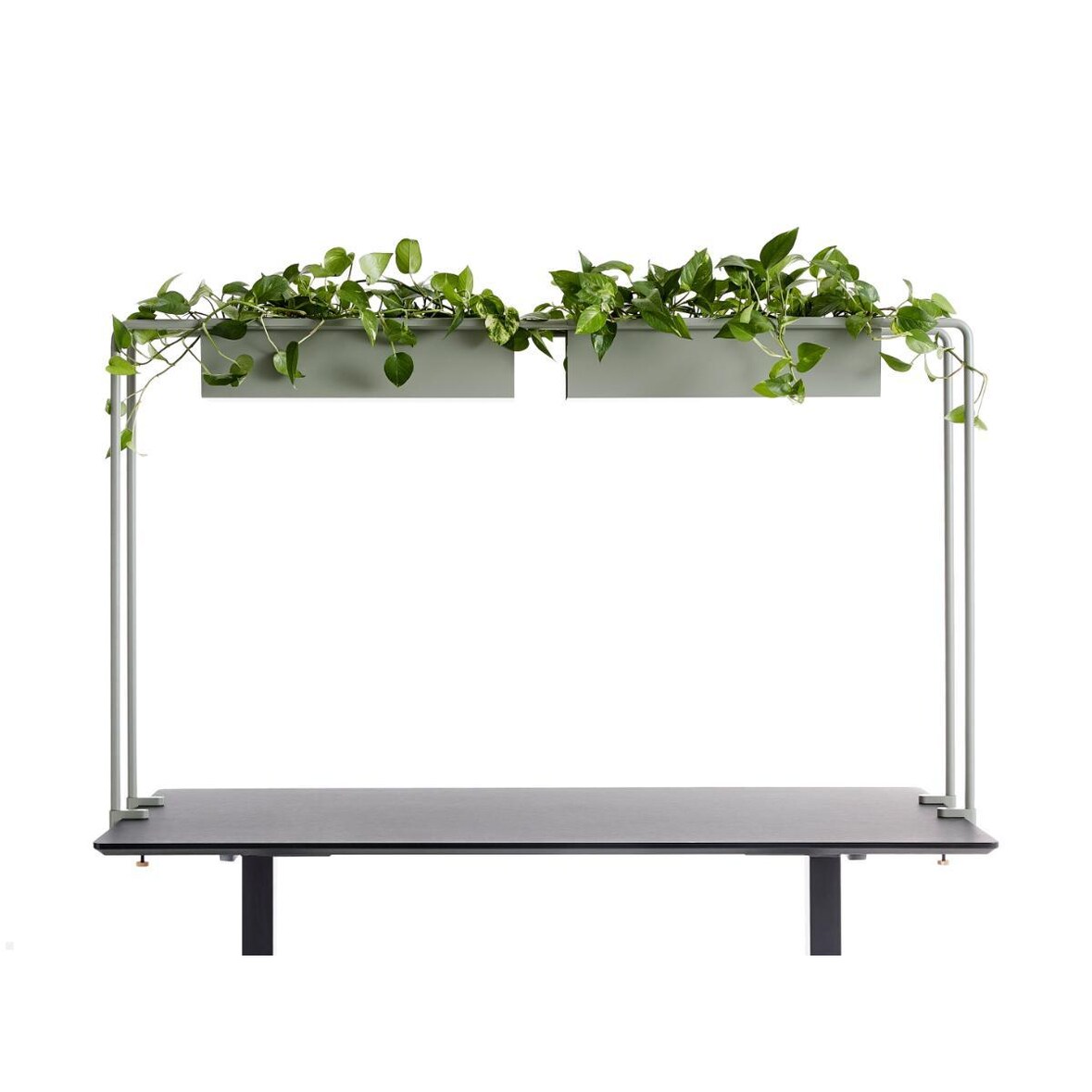 APTO Schreibtisch Halterung für Blumenkästen 160x80x2cm mit Tischklemmen, olivgrün
