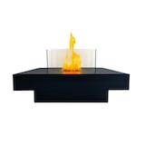 thumbnail of Bioethanol-Kamin für den Innen- und Außenbereich Biokamin mit Brenner, Standmodell aus Stahl und schwarzem Hartglas, 70 x 70 x 35 cm (H)
