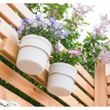 thumbnail of Hecht International 203700108-HE Kräuter Blumen Balkon Blumentopfhalter FLORES