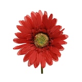 thumbnail of Künstliche Gerbera 50cm Kunstblumen Dekoblumen Hochzeit biegsam Bodenvase