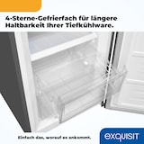 thumbnail of Exquisit Kühl-Gefrierkombination KGC265-70-NF-040C inoxlook-az | No Frost | Nutzinhalt: 253 L | Temperaturregelung