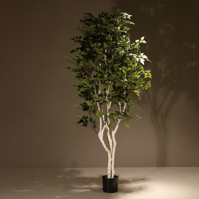 Planta artificial ignífuga Abedul blanco 210cm | Naturing Monde -Para interior - Tronco natural