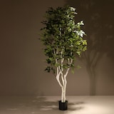 thumbnail of Planta artificial ignífuga Abedul blanco 210cm | Naturing Monde -Para interior - Tronco natural