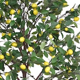 thumbnail of Limonero artificial 2 m