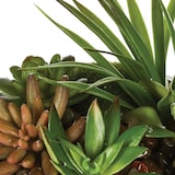 thumbnail of WellHome - Centro floral para decorar