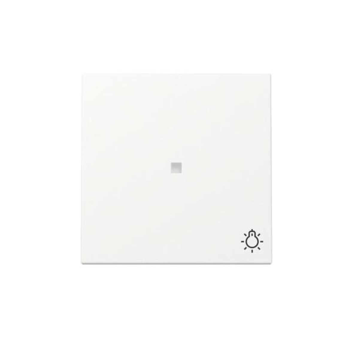 Gira Wippe Kontrollf. + Symb. 367427