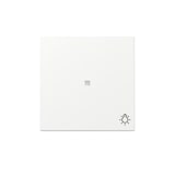 thumbnail of Gira Wippe Kontrollf. + Symb. 367427