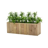 thumbnail of HORTALIA Jardinière d’extérieur en bois Atrium 120 x 34x 60