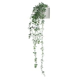 thumbnail of Planta artificial EUCALYPTUS CLIMB Verde / blanco hjh OFFICE