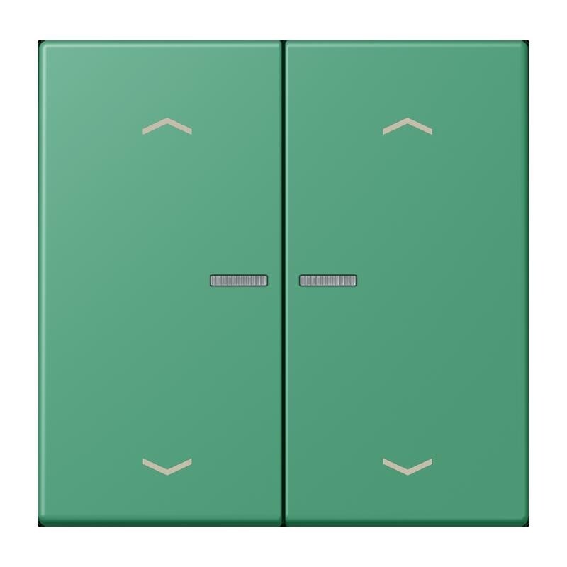 Jung Wippe mit Lichtleiter LC 102 KO5P 250 LC102KO5P250