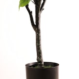 thumbnail of Plantas artificiales Naturing Monde Hortensia paniculata rosa 160cm