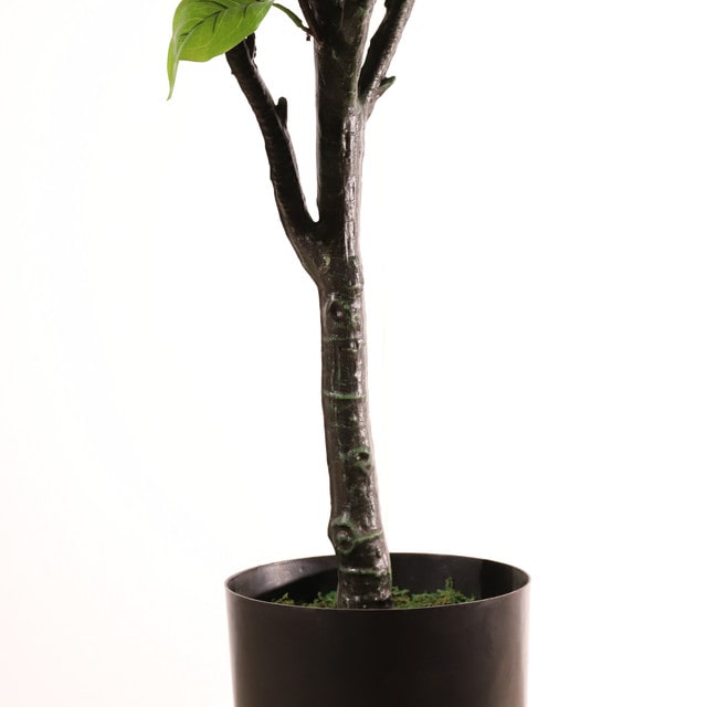 mobile_image