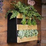 thumbnail of HORTALIA Jardín vertical S en madera tratada para exterior