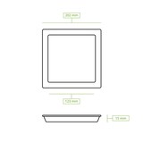 thumbnail of greenbox - Teller aus Zuckerrohr 20 x 20 cm, quadratisch, 50 St.