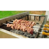 thumbnail of Barbacoa portuguesa 2 parrillas de 30cm + 3 pinchos + cesta + 6 pinchos de carbón giratorios sobre soporte con ruedas 1600x610x970