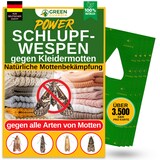 thumbnail of Schlupfwespen gegen Kleidermotten: 4x Lieferungen zur Vollbehandlung / 3