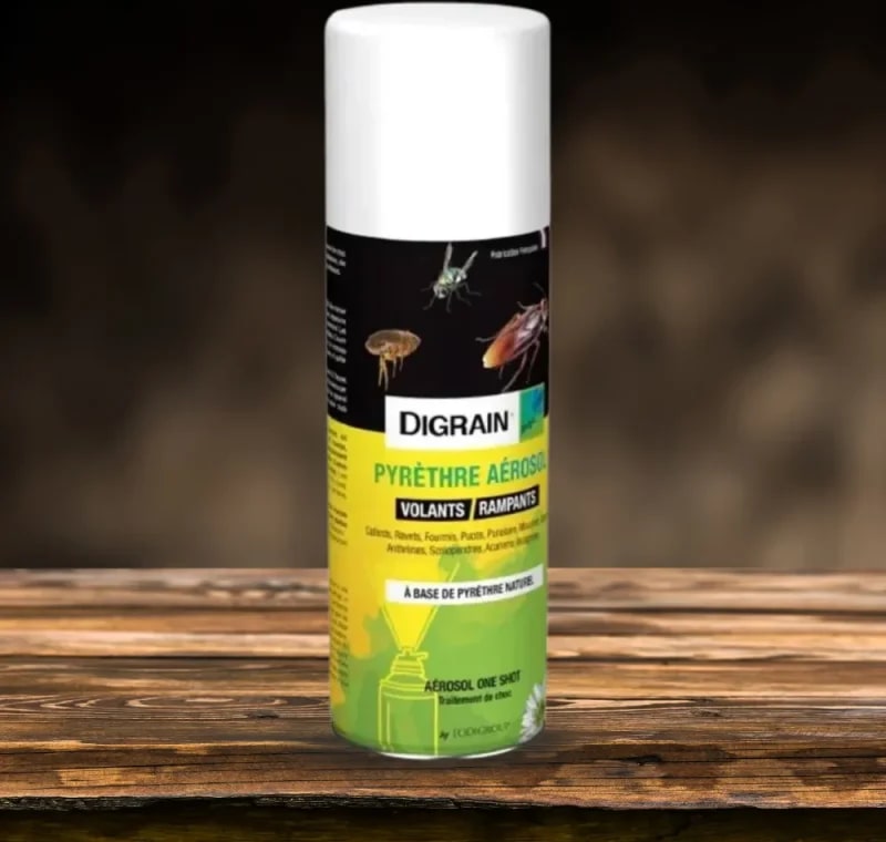 Aérosol insecticide - 200ml - LODI | METRO