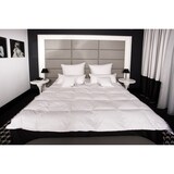 thumbnail of HS83 WINTER Daunendecke Bettdecke Oberbett Decke 70% Daunen - 30% Federn 135x200 cm 1800g