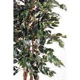 thumbnail of VERT ESPACE plante artificielle ficus exotica 180 CM