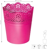 thumbnail of Prosperplast - Spitzentopf - 11,2x11,2x13cm in fuchsia farbe