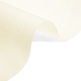 thumbnail of WellHome - Lichtdurchlässiges Polyester-Rollo 180 x 180 cm (Breite x Höhe) Beige