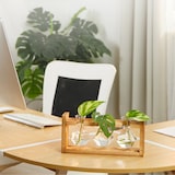 thumbnail of Relaxdays Reagenzglas Vase, geometrische Glasvasen Ständer, Blumen & Pflanzen, HxBxT: 13x28x6,5 cm, transparent/natur