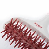 thumbnail of Westmark Stipproller, 32172270