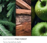 thumbnail of Pine Forest Duftkerze Candle Brothers, Kerze im Glas, 2 Dochte, 510g, 100h Brenndauer, Raumduftkerze