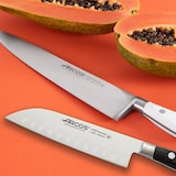 thumbnail of Arcos Cuchillo Jamonero, Hoja Flexible y alveolada de Acero Inoxidable Forjado NITRUM 250 mm, Mango de Polyoxymethylene (POM), Color Negro