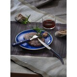 thumbnail of Arcos Table Messer - Steakmesser Tafelmesser - Klinge Nitrum Edelstahl 110 mm - HandGriff ABS Micarta Farbe Blau