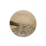 thumbnail of IDFine-Wise Coupteller 19 cm 12 Stück