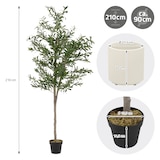 thumbnail of ML-Design – Künstlicher Olivenbaum – 210 cm | mit Früchten, Naturholzstamm, im Topf, Kunstpflanze Indoor & Outdoor