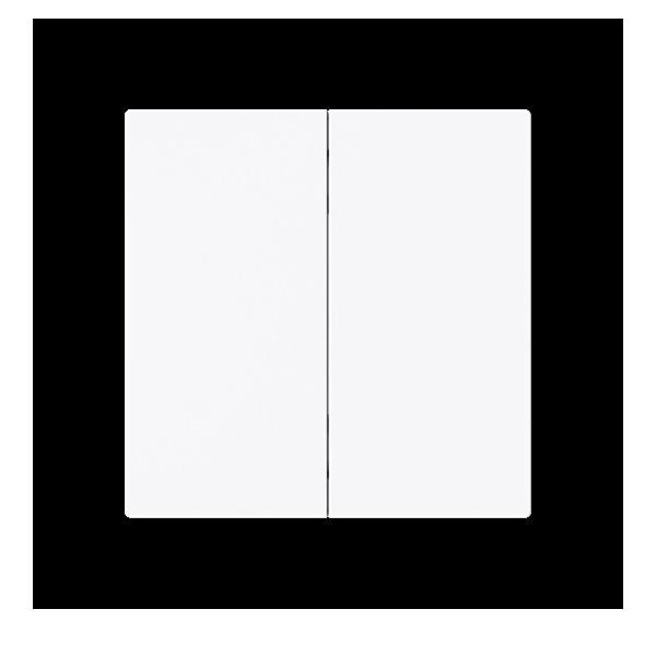 Busch-Jaeger Wippe 2-fach Smart Switch 6736 FoH-44G 2CKA006730A0166