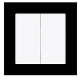 thumbnail of Busch-Jaeger Wippe 2-fach Smart Switch 6736 FoH-44G 2CKA006730A0166