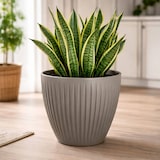 thumbnail of WellHome - Blumentopf aus rotationsgeformtem Kunststoff 11L Ø30x25cm in farbe Mokka - Latia Round