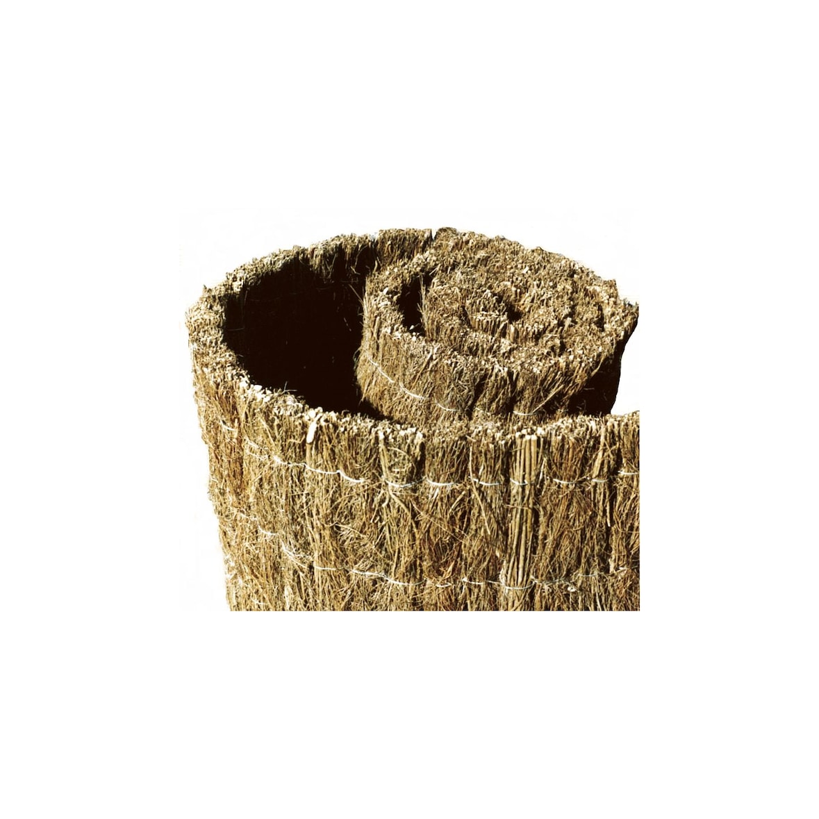 Brezo Nacional | Brezo para cerramiento de Jardín -