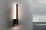 thumbnail of Paulmann LED Außenwandleuchte Levka   IP44  115x485mm 3000K 13,5W 110lm 230V  Anthrazit Aluminium 94786