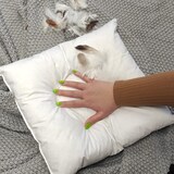 thumbnail of 2 Stück / 2er Set Federkissen 100% Federn 40x60 - 600g OEKO-TEX Kissen / Füllkissen mit Bezug aus 100% Baumwolle weiß / Innenkissen / Kissenfüllung /