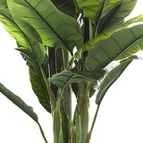 thumbnail of WellHome - Planta de Plátano Artificial 170cm