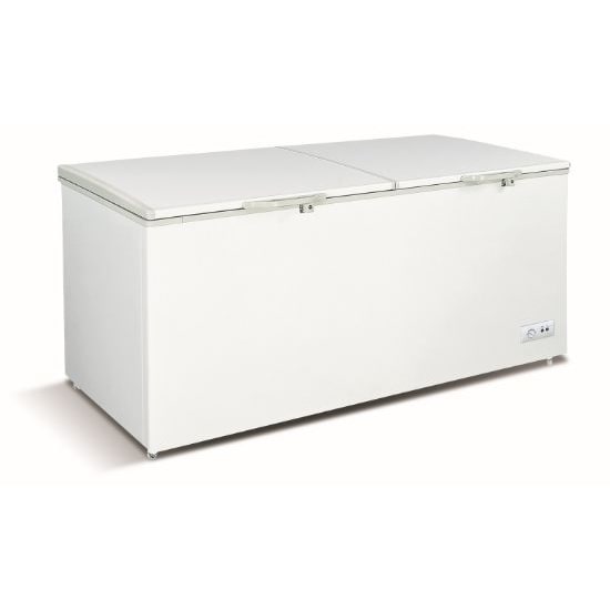 Congélateur-Bahut 650 L