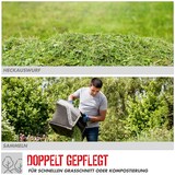 thumbnail of Güde Rasenmäher Benzin ECO WHEELER 412.2 P 4-Takt 41 cm Schnittbreite 40 L Fangsack 95460