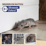 thumbnail of Edialux Ultraschall-Abwehr Von Mäusen Und Ratten - Für Drinnen Und Draußen